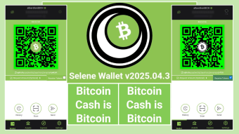 Selene Wallet Now Supports CashTokens with Latest 2025 Update
