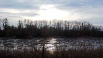 It's cooled down a bit, but it's still spring-like - My Actifit Report Card: February 23, 2025