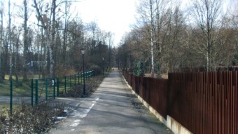 Beautiful sunny day, extremely successful walk - My Actifit Report Card: February 4 2025
