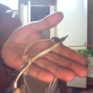 (IJCH) Imagine This? A Mouse, a Mushroom Grow Bag and Magic!