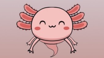Axolotl Finance: Privacy and speed in Micropayments (update 1)