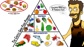 Criticism and commentary of the Paleolithic diet