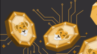 pLEO-wMatic Farm on PolyCub - A Good Bet?