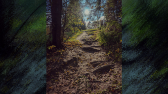 Summer walk in the park