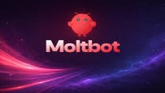 The Moltbook Breach: When an AI Network Forgot to Protect Its Humans