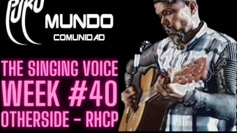 OTHERSIDE - RHCP - Cover by Juan Molina - AKA @thelooter