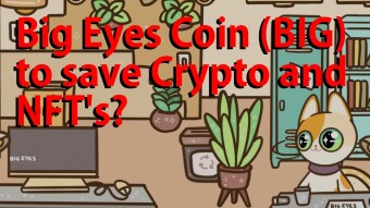 Big Eyes Coin (BIG) to save Crypto and NFT's?