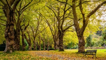 Stranger’s Encouragement That Revealed God’s Wonderful Heart