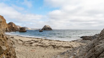 Wednesday Walk - Point Reyes National Seashore