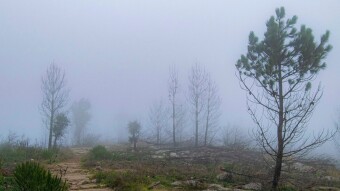 VISIT PORTUGAL _ Serra Monchique (Algarve)