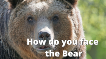 How do you face the Bear Market?