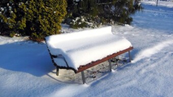 Lots of snow, about 35-40 cm of fresh powder - My Actifit Report Card: December 4 2023