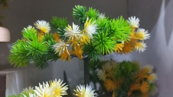 Artificial flower photography.