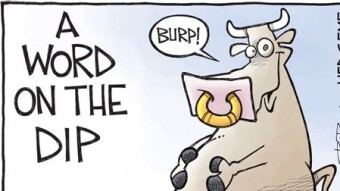 The danger of buying the dip if you are new and inexperienced