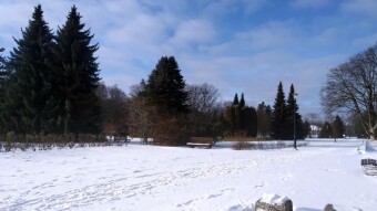 Another day of thaw, but the bitter frost will soon return - My Actifit Report Card: January 15, 2026