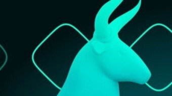 Bull Perks is The fairest and most community dedicated decentralized VC and multi chain launchpad