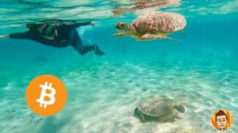 I Took a Break From Crypto