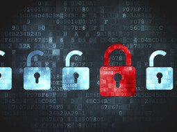 Beyond the Veil - Where Privacy is Paramount