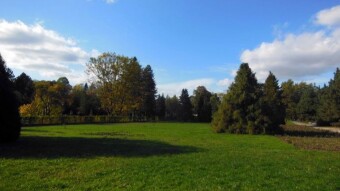 Cool, north wind, but sunny and pleasant day - My Actifit Report Card: October 14, 2024