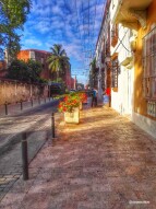Street Photography