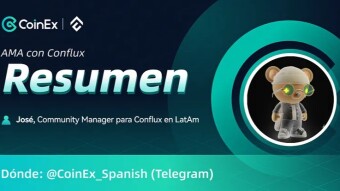 Resumen del AMA con Conflux