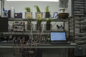 Alt-C, The Sustainable Powered by Plants Mining Innovation