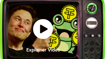 Unleash the Power of DigiToads: The Crypto Sensation Rivaling Cosmos and Algorand