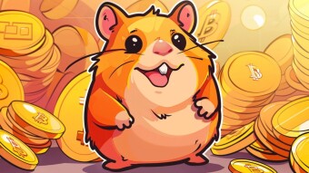 Hamster Kombat (guide of the crypto game)