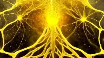 A COMPLICATED INDIVIDUAL: THE DIGITAL TWIN OF CONSCIOUS EVOLUTION