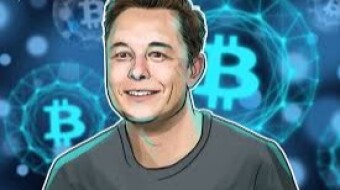 BTC and Elon