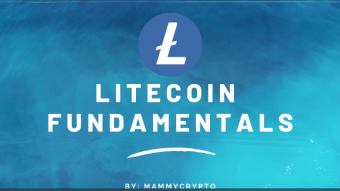 Litecoin (LTC) Fundamentals