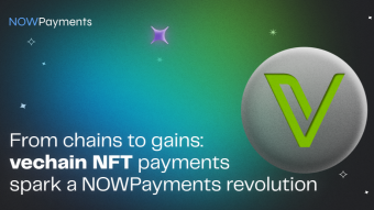 From Chains to Gains: Vechain NFT Payments Spark a NOWPayments Revolution