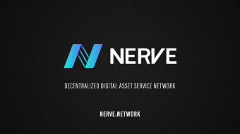 What is NerveNetwork?