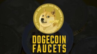 Dog faucet