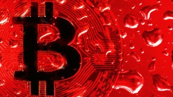 November - Bitcoin Bears Bring Blood