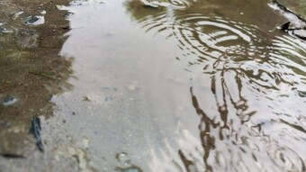 Fun with standing water after rain