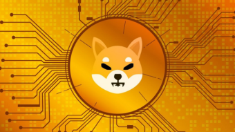 Shiba Inu coin in 2022???