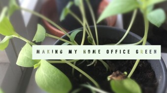 Making My Home Office Green