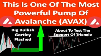This Is One Of The Most Powerful Pump Of Avalanche (AVAX)