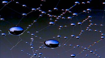The Bias of Pluralism and Why it's Built into its Form