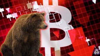 A Bear Market is Natural and This Is More Like Yogi Bear Than Death Bear?