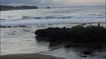 First Day in Puerto Viejo, Costa Rica! Beaches, Monkeys, Beautiful Weather!