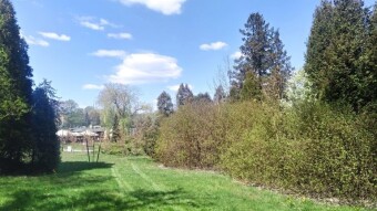 May Friday with an A+ - My Actifit Report Card: May 1, 2026