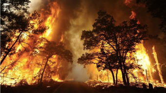 Fire in Australia, Binance gives $ 1 million