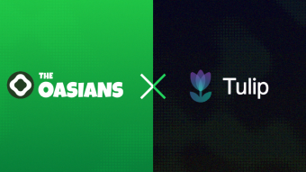 Tulip Protocol Analysis - The 411 on Solana's Native AMM Yield Aggregator