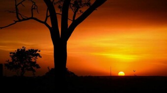 Africa will be the next big market for crypto, here's why!