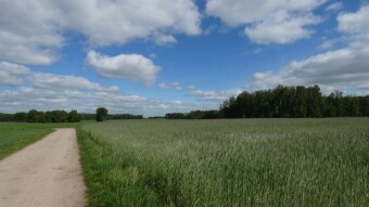 A quiet day, full of sun and, above all, beautiful rural landscapes