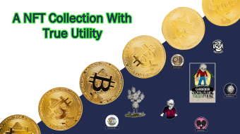 A WAX NFT Collection with true Utility