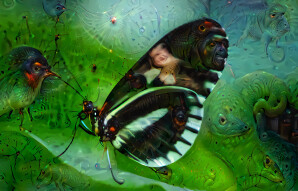 Butterfly Deep Dream Generator