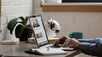 The Role of Each Form of Business Organization in the Economy